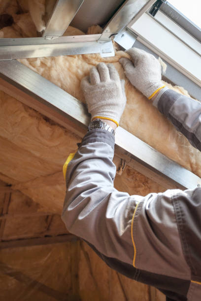 Best Insulation Maintenance and Repair in Pacolet, SC