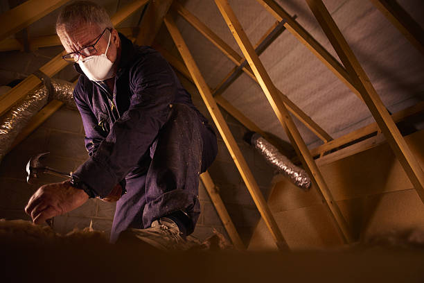 Best Geographic-Specific Insulation Services in Pacolet, SC